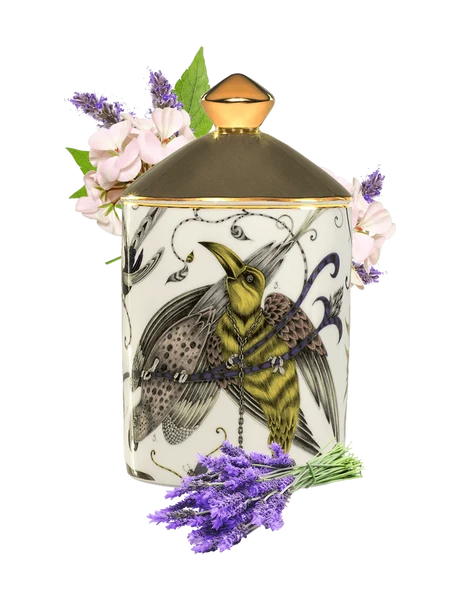 Audubon_600x600